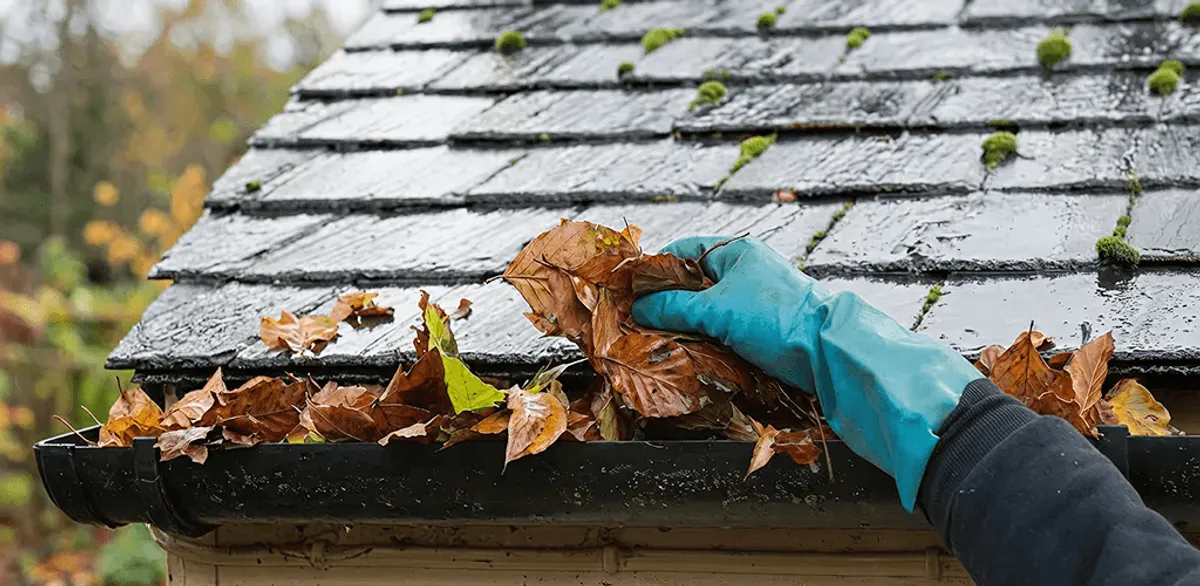 Gutter cleaning technician clearing wet leaves from roof gutters in Nashua, NH